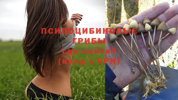 гидропоника Балахна